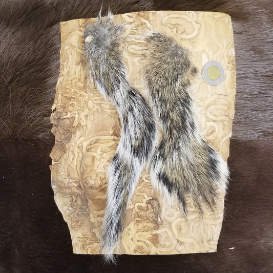 Squirrel Tails