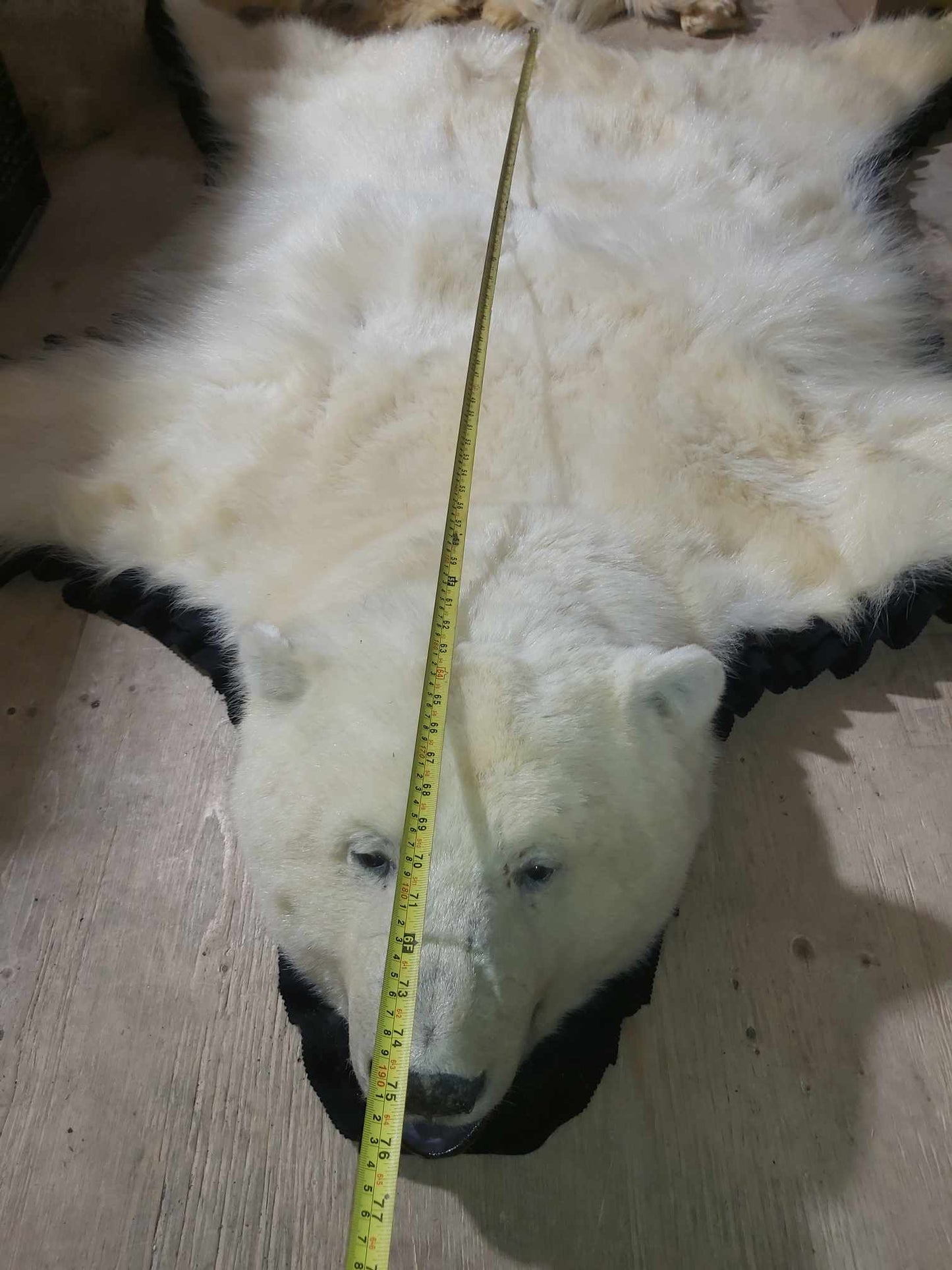 Polar Bear Fur - Rug 75 inches