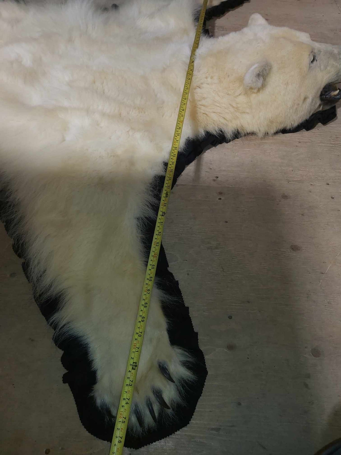 Polar Bear Fur - Rug 75 inches