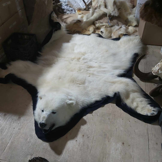 Polar Bear Fur - Rug 79 inches