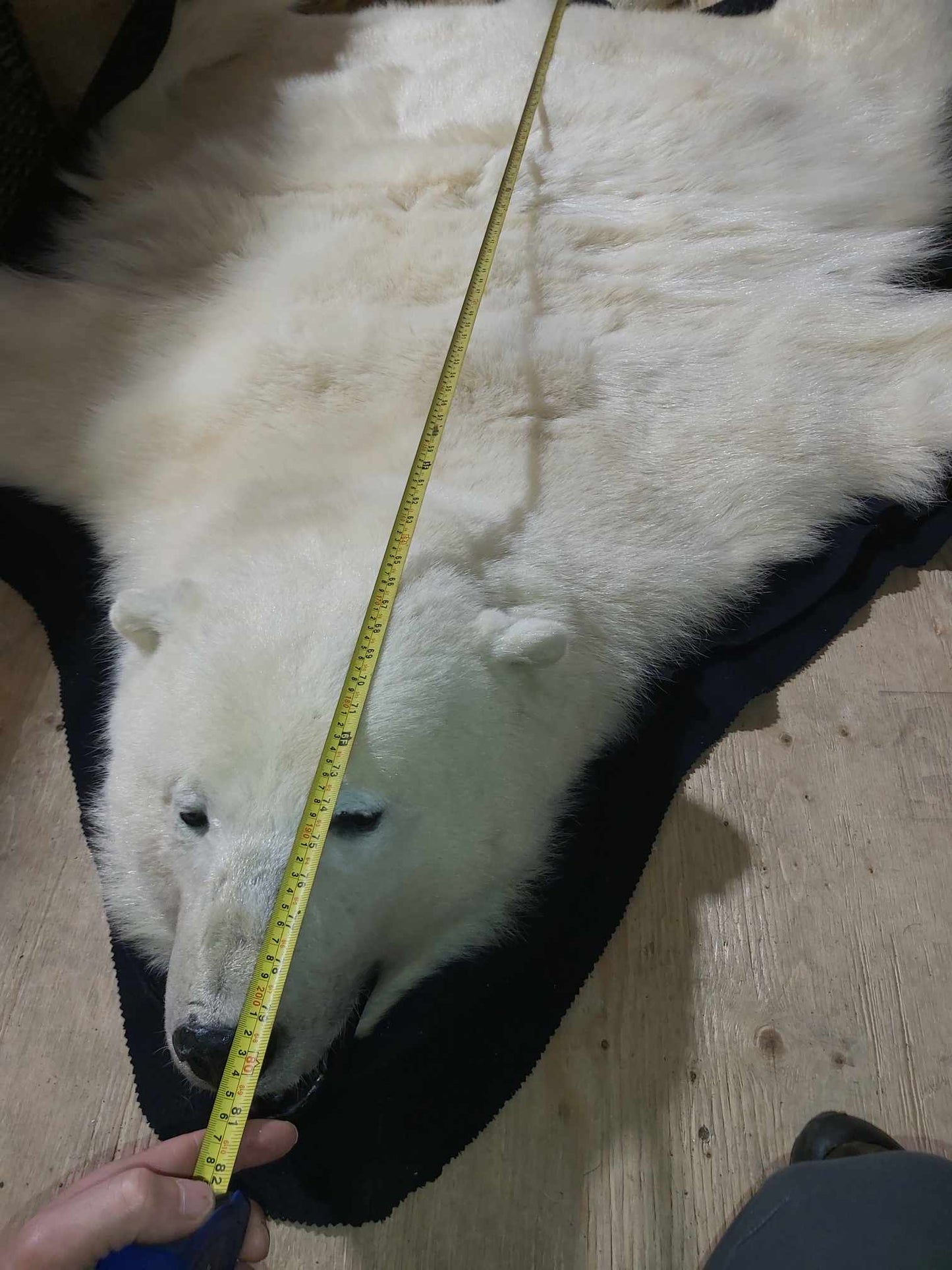Polar Bear Fur - Rug 79 inches
