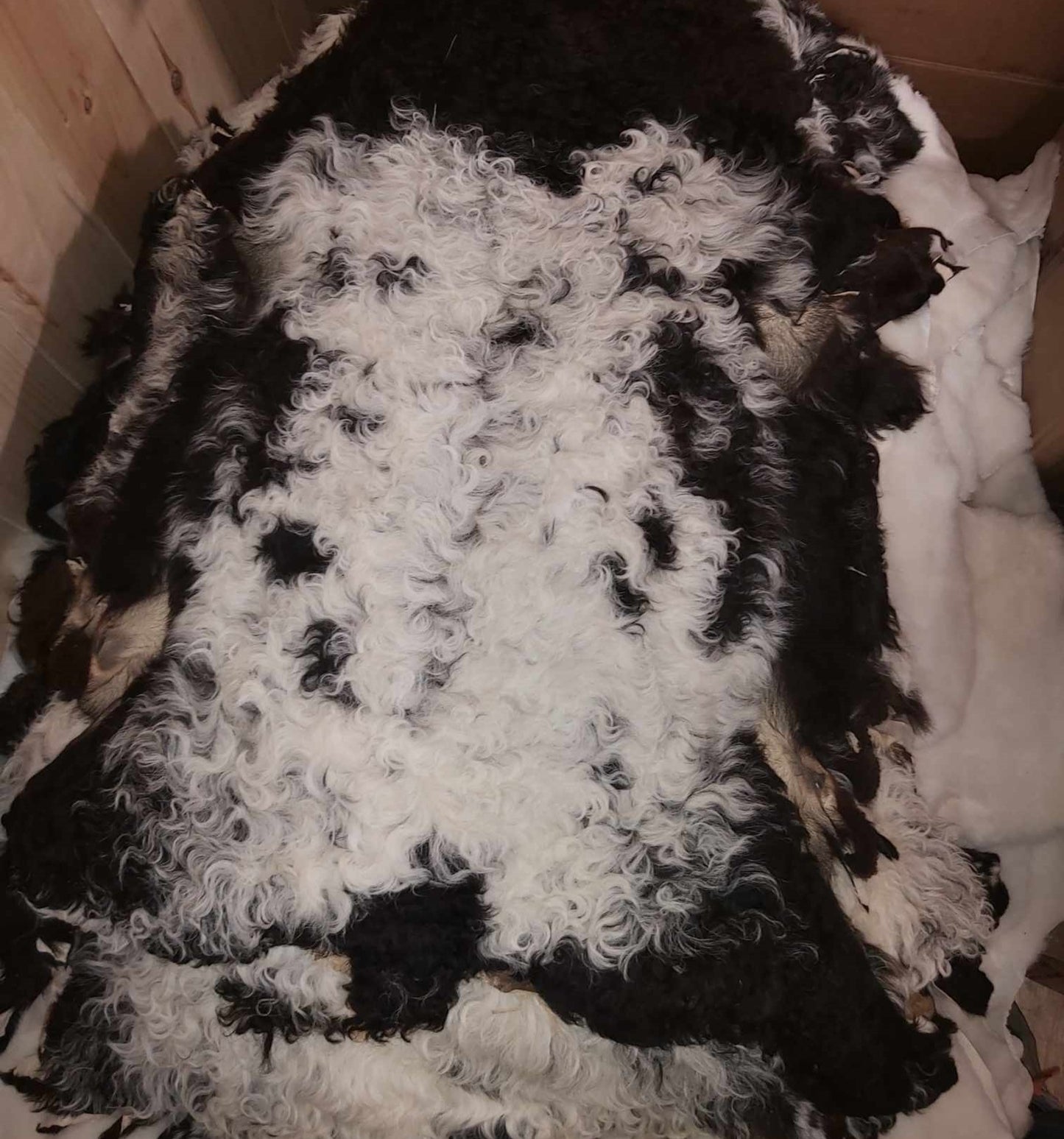 Lamb Pelts