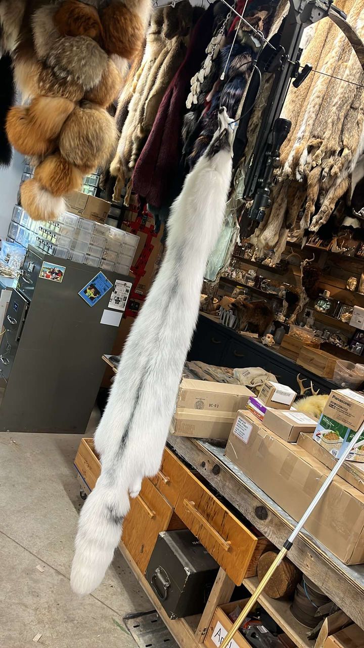 Arctic Marble Fox Pelt