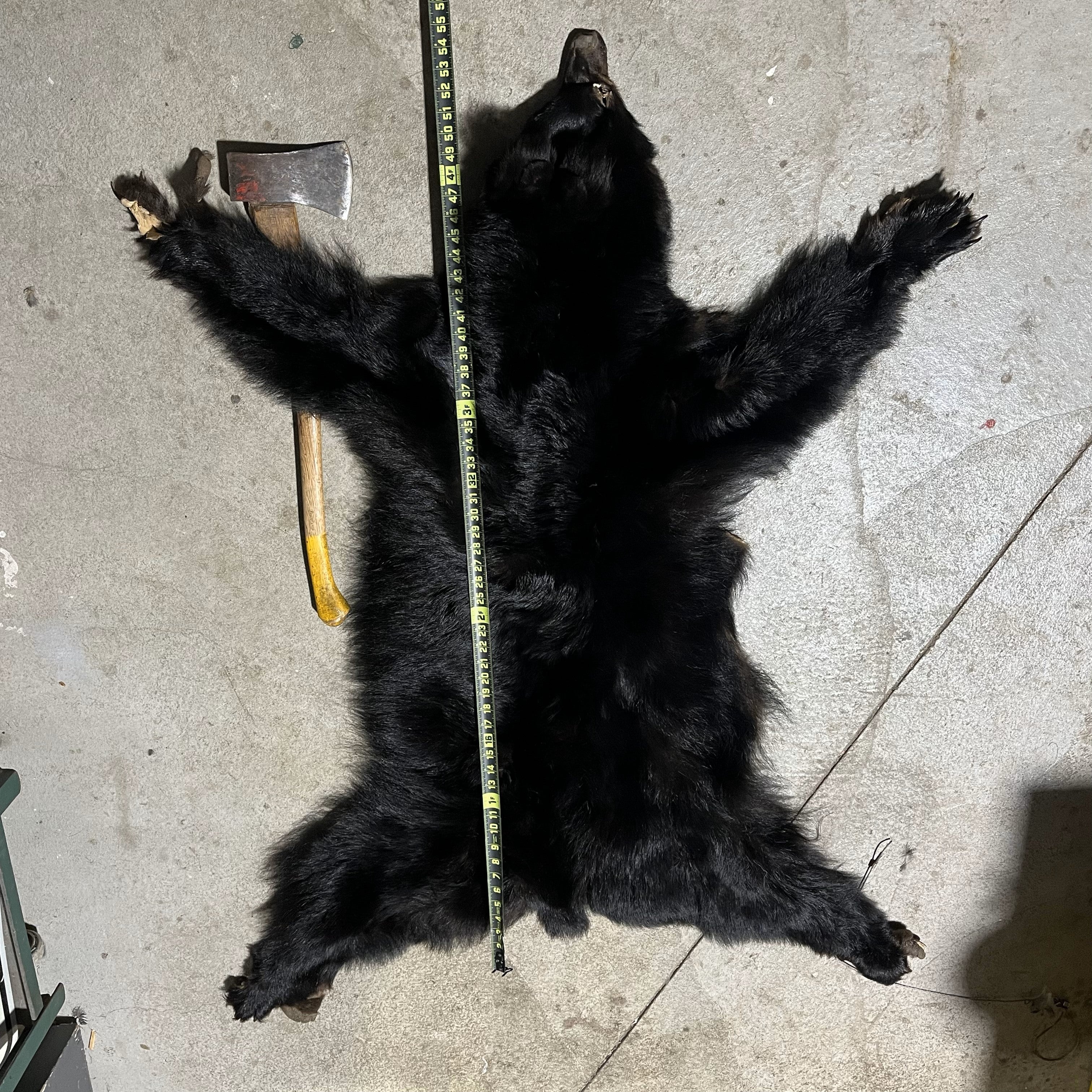 Fluffy black cheap bear