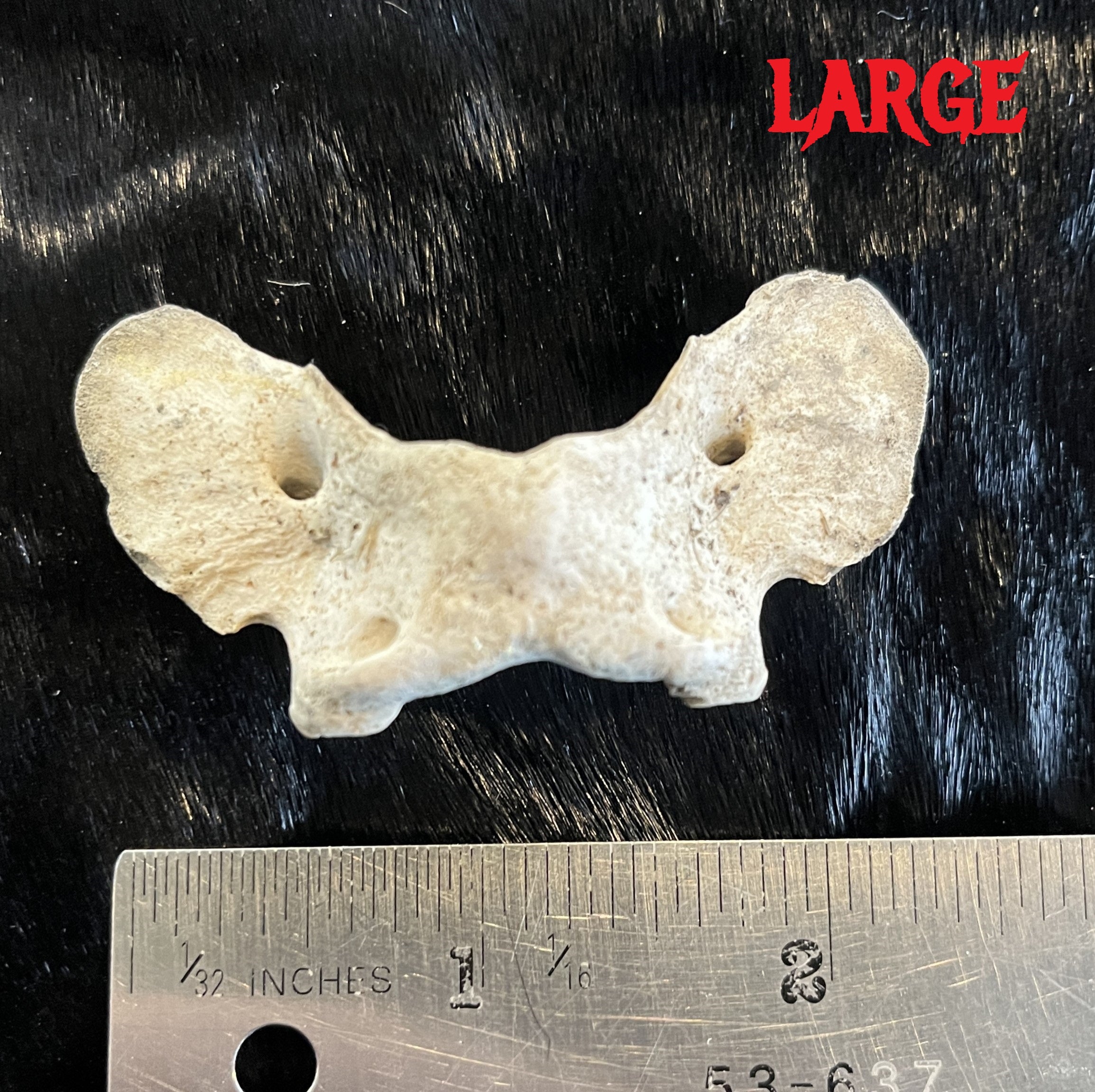 Atlas Bone – Medieval Fur