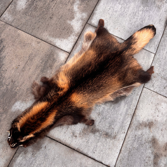 Finn Raccoon Fur Pelt, Wolverine