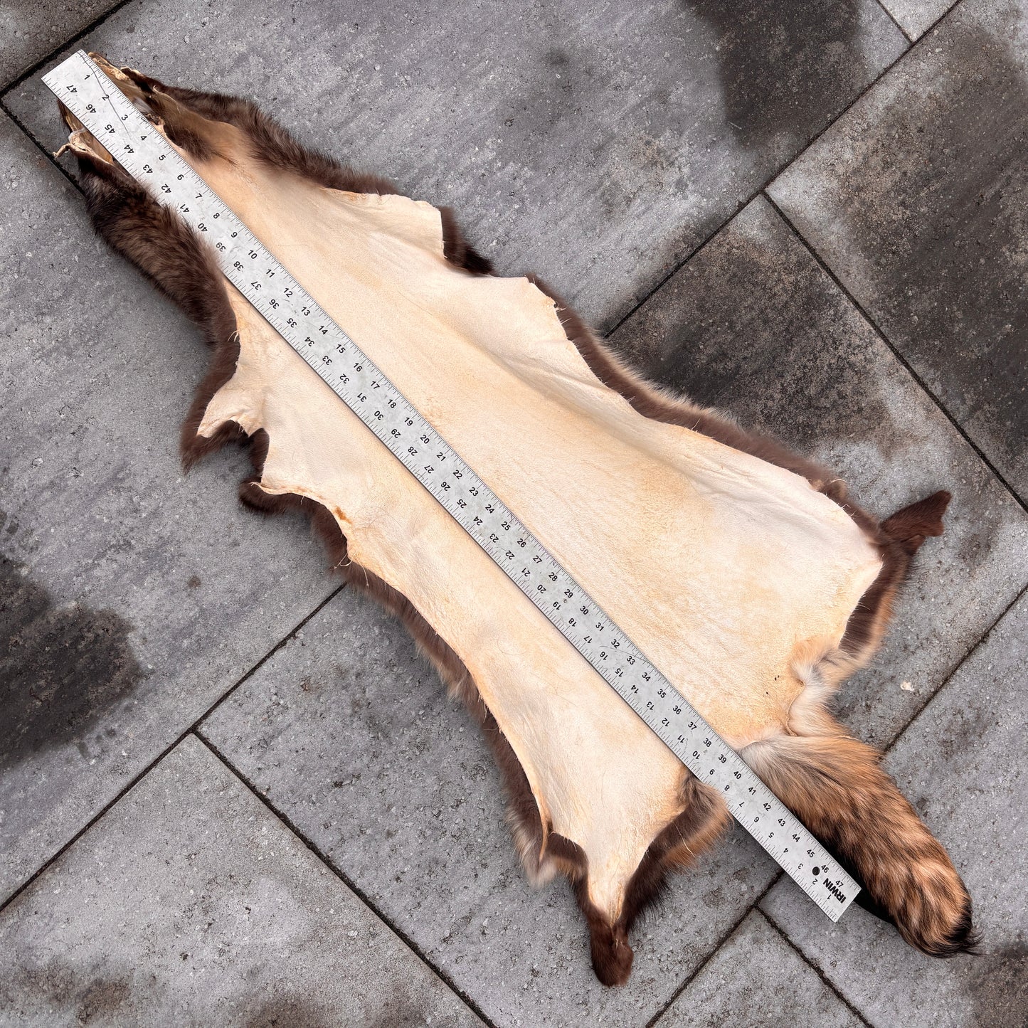 Finn Raccoon Fur Pelt, Wolverine