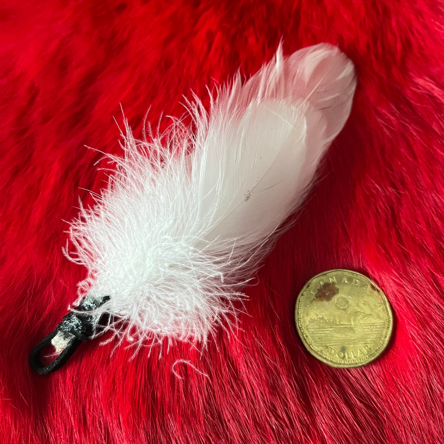 Ptarmigan Feather Accessory