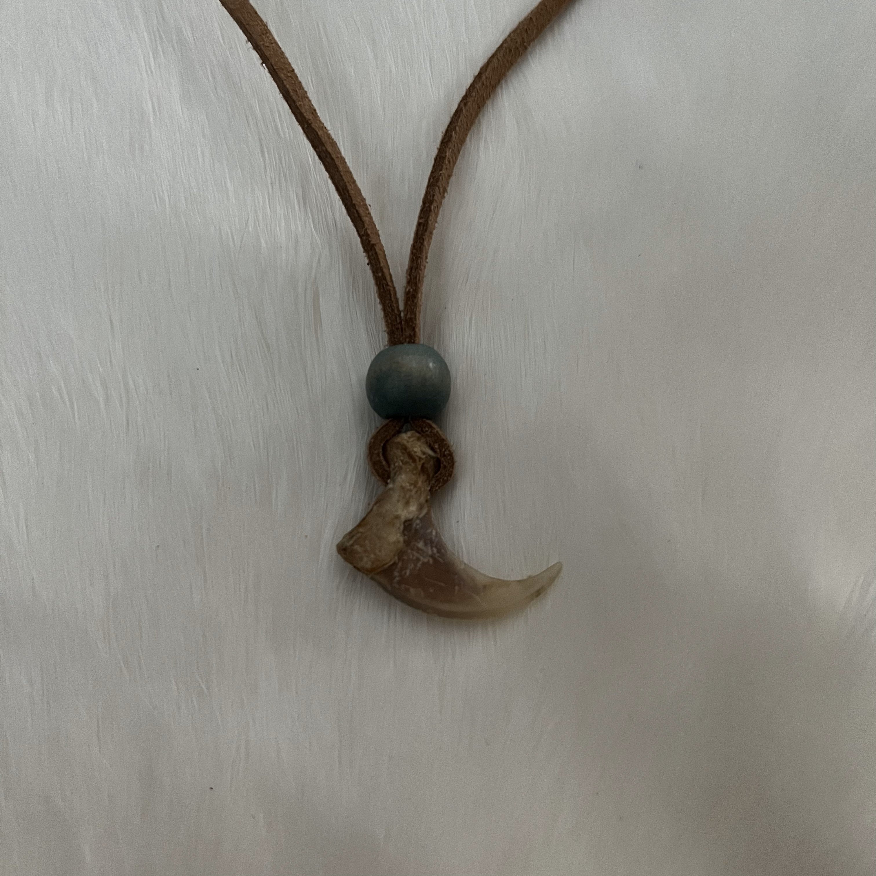 Dinosaur sale claw necklace