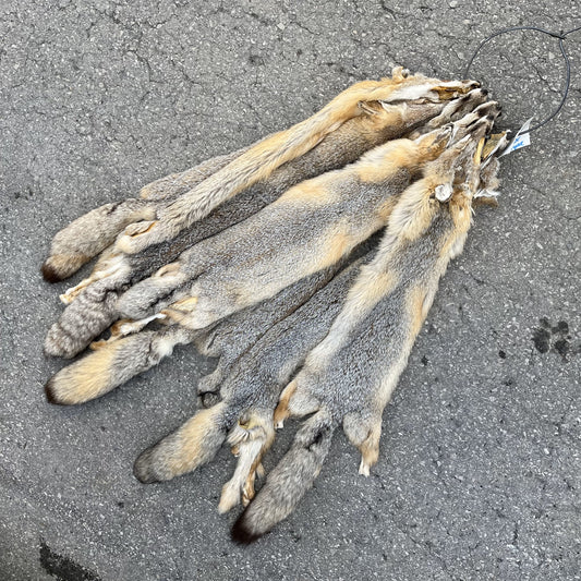 Plains Fox Fur Pelts
