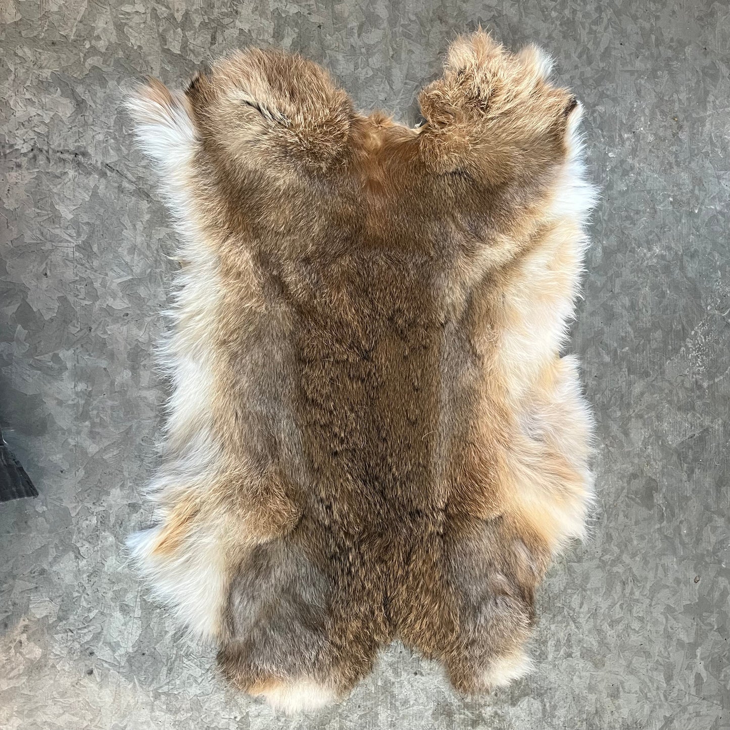 Rabbit Fur - Brown - Second quality