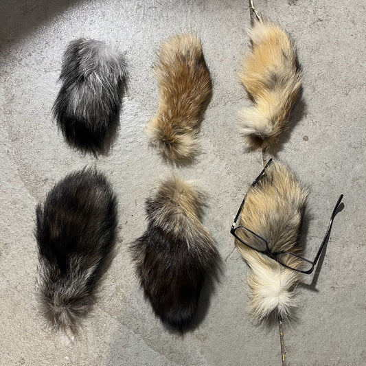 Little Piece Of Tail