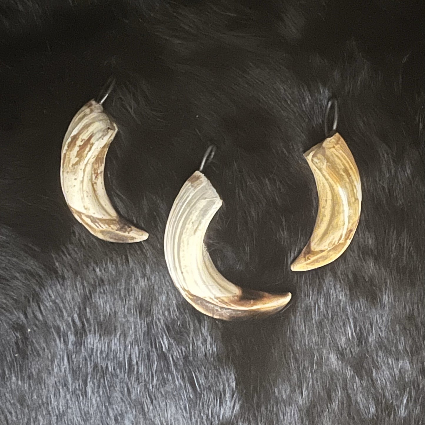 Small Wild Boar Tusks Pendants