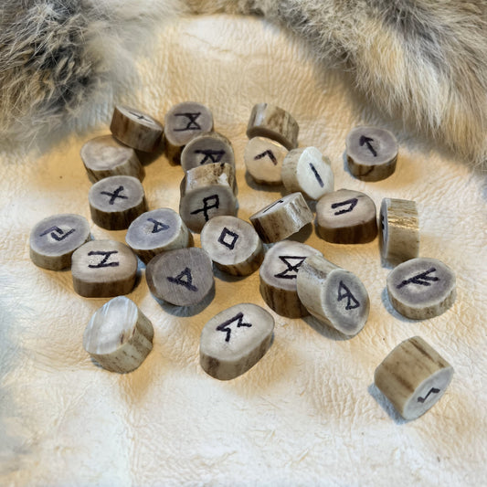 Deer Antler Slices with Viking Runes