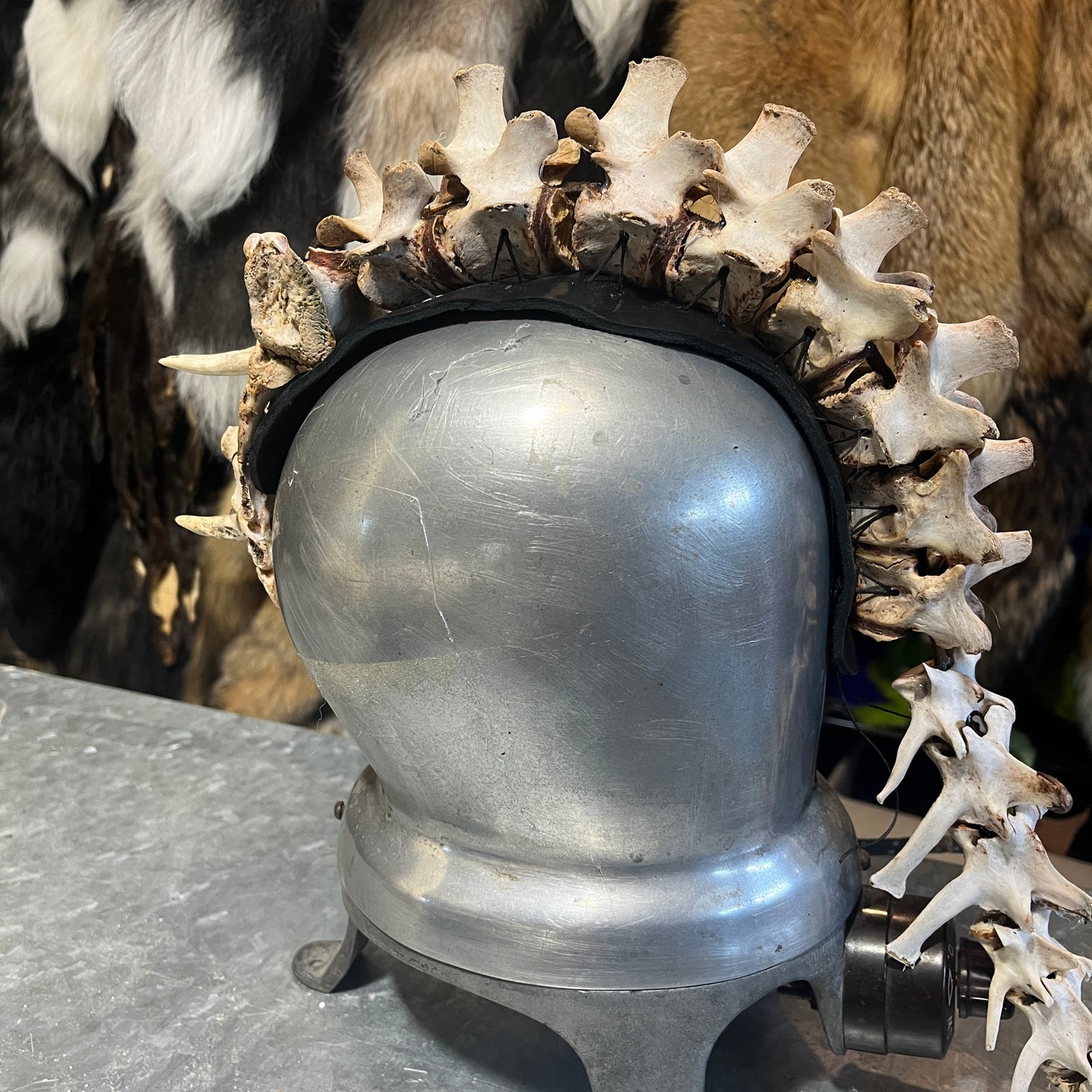 Custom Vertebrae Headdress