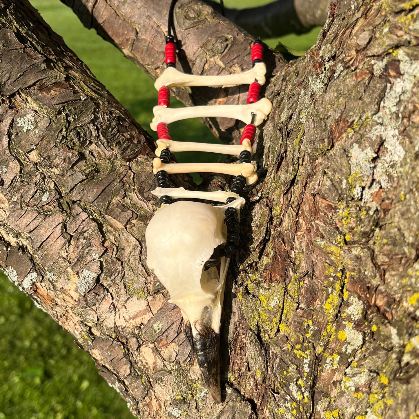 The Long Crow Necklace
