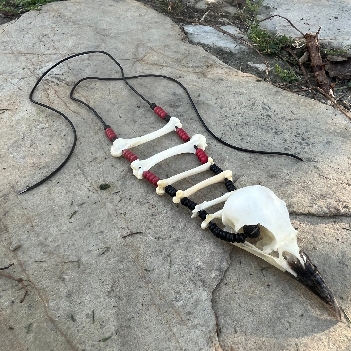 The Long Crow Necklace