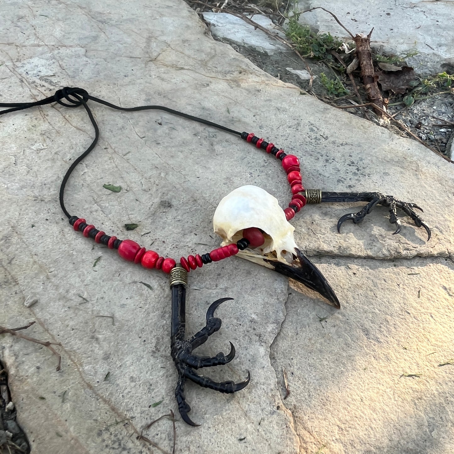 The Crow Necklace