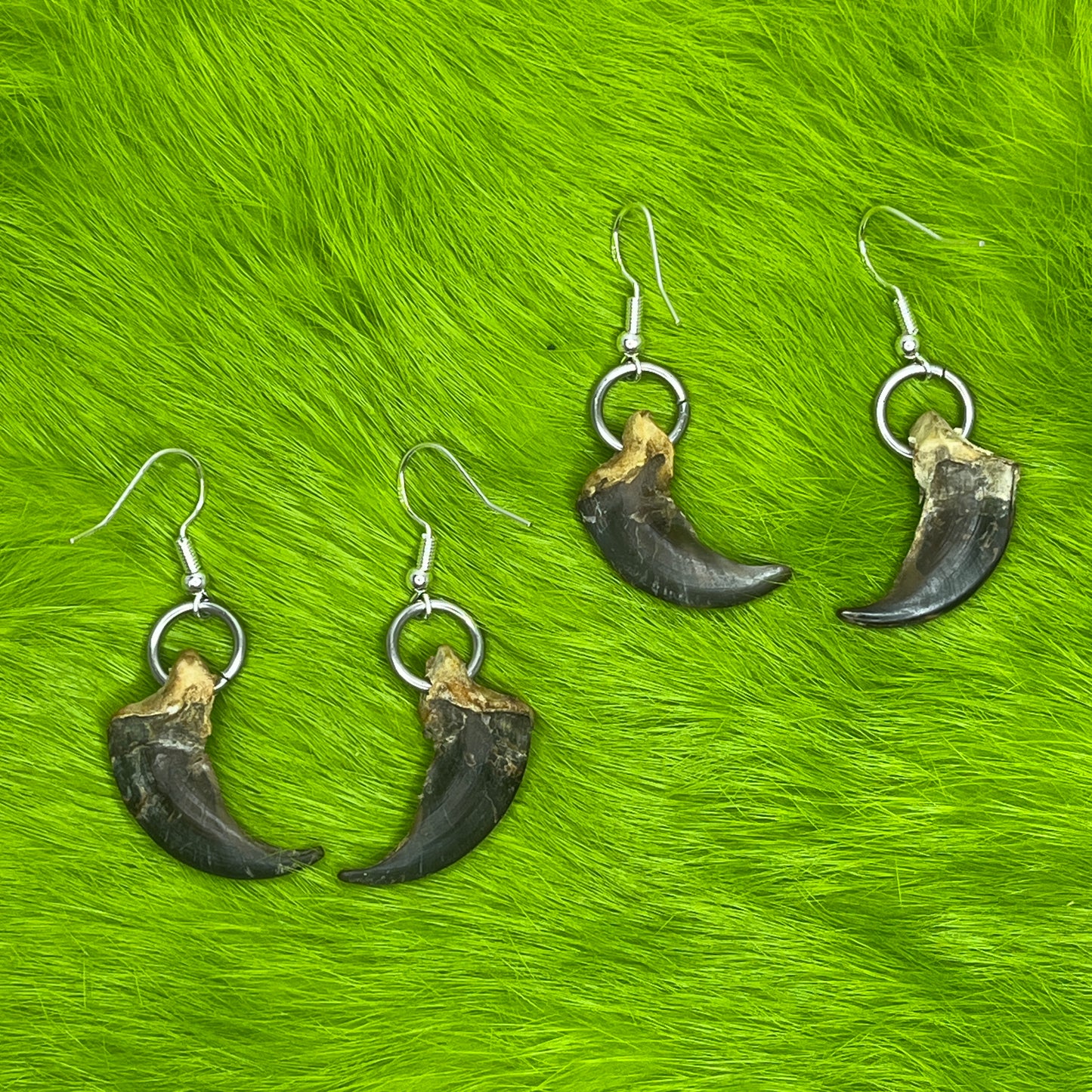 Earrings - Wolf claws