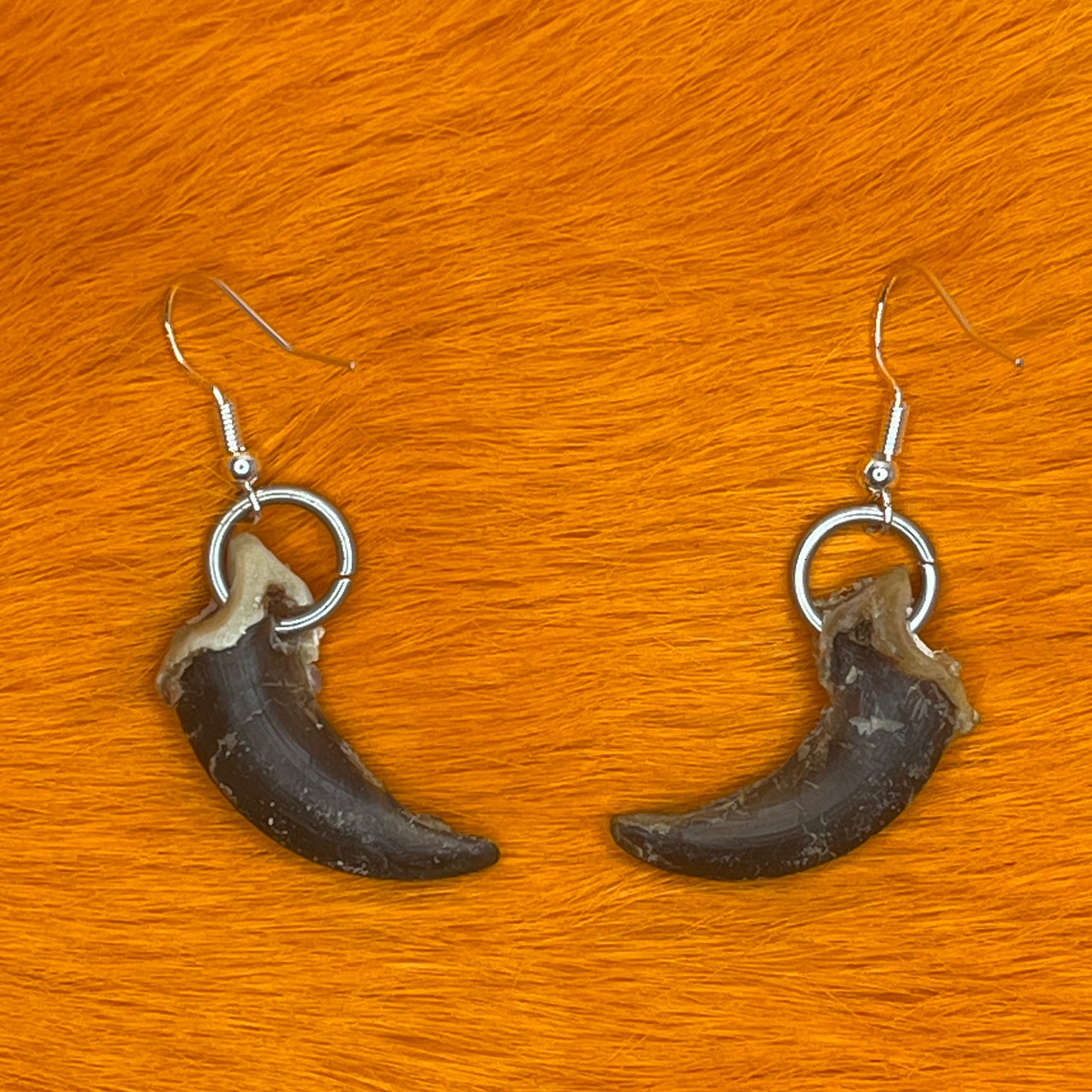 Earrings - Wolf claws