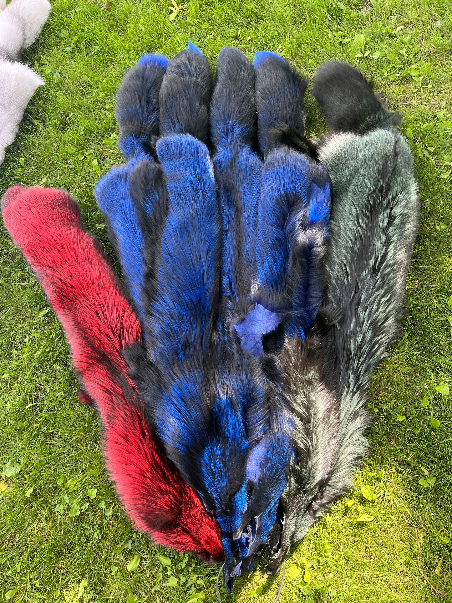 Dyed Silver Fox Pelt - Special order only