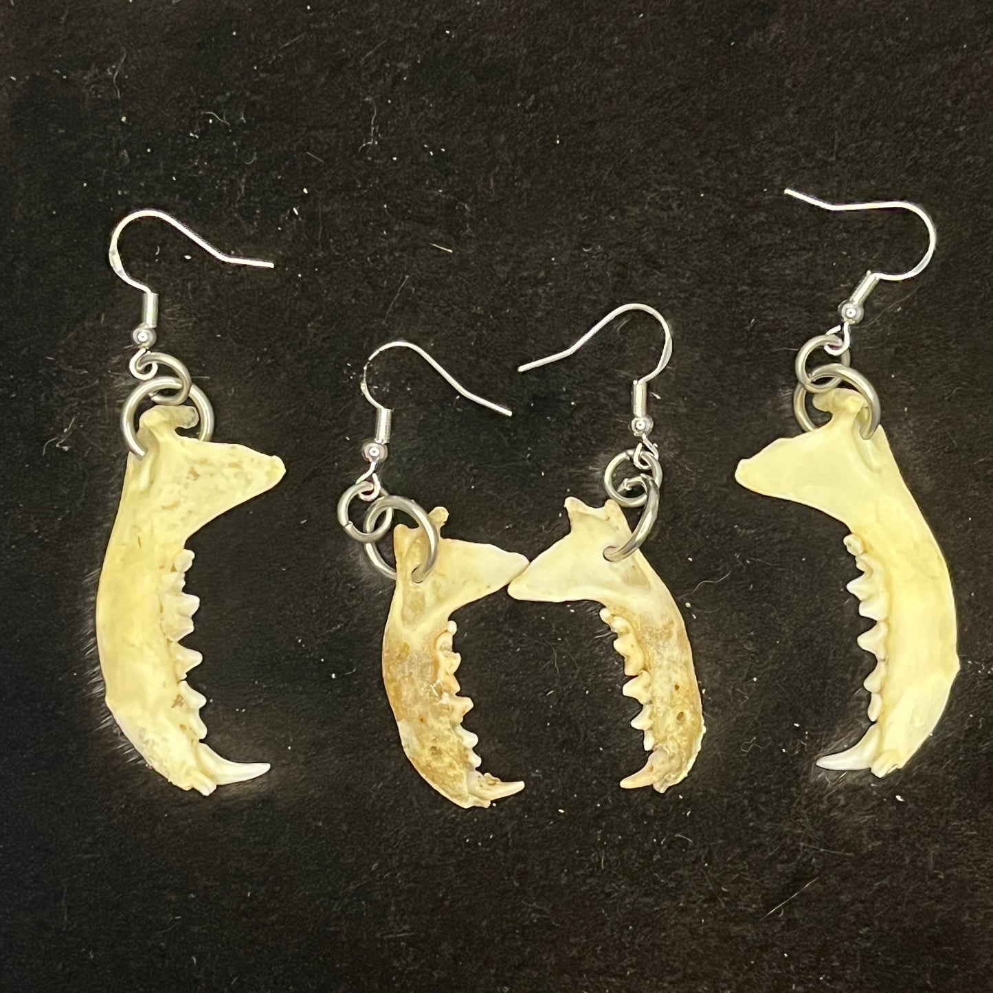 Earrings - Small mammal jawbones