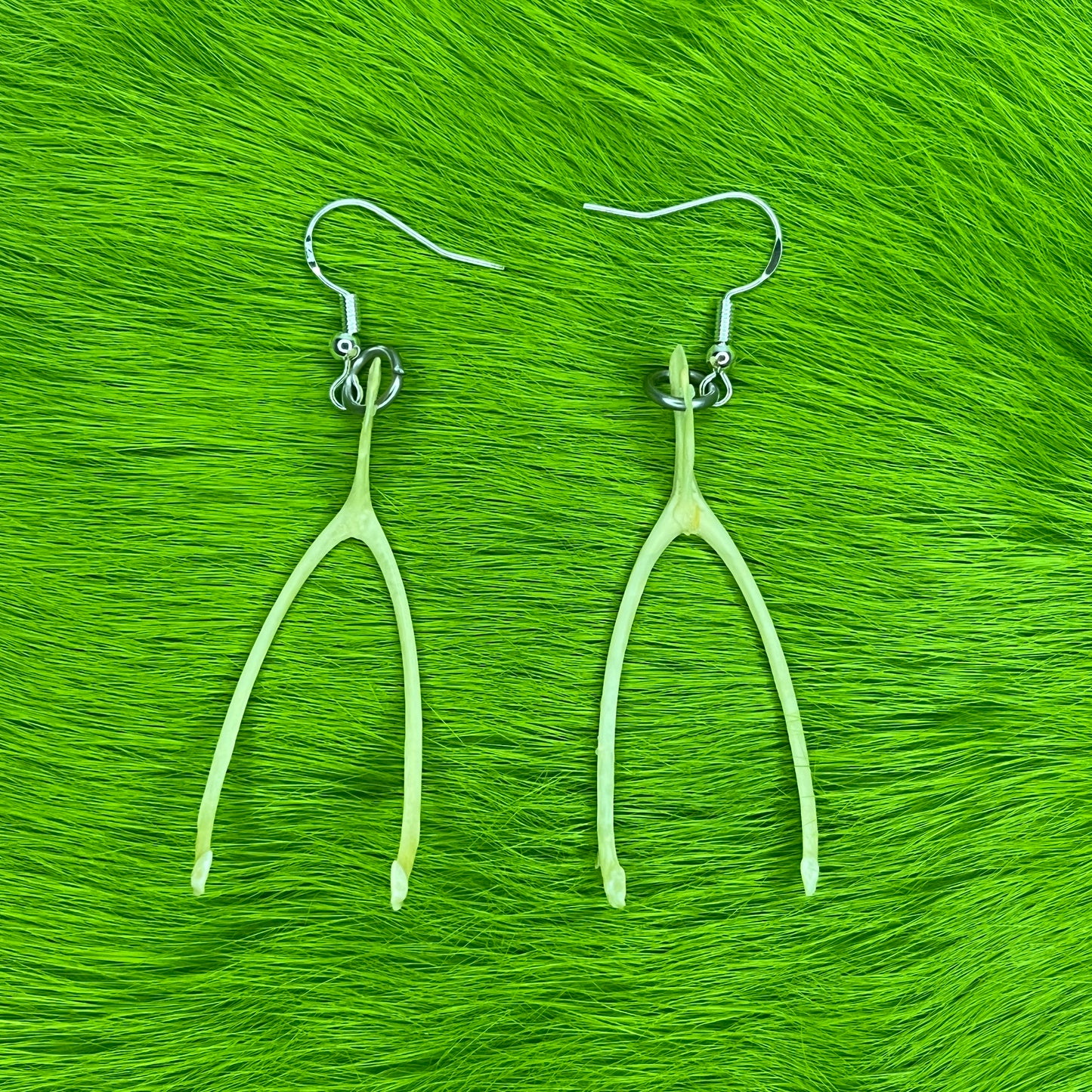 Earrings - Wishbones