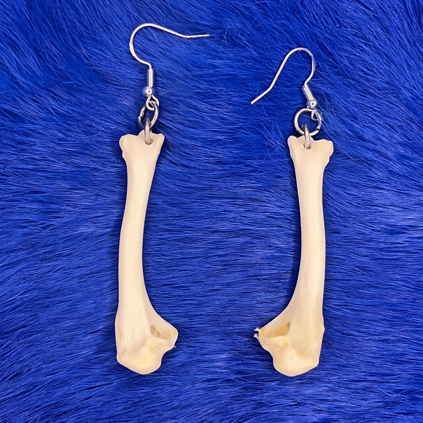 Earrings - Crow bones