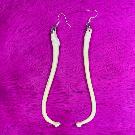 Earrings - Penile bones