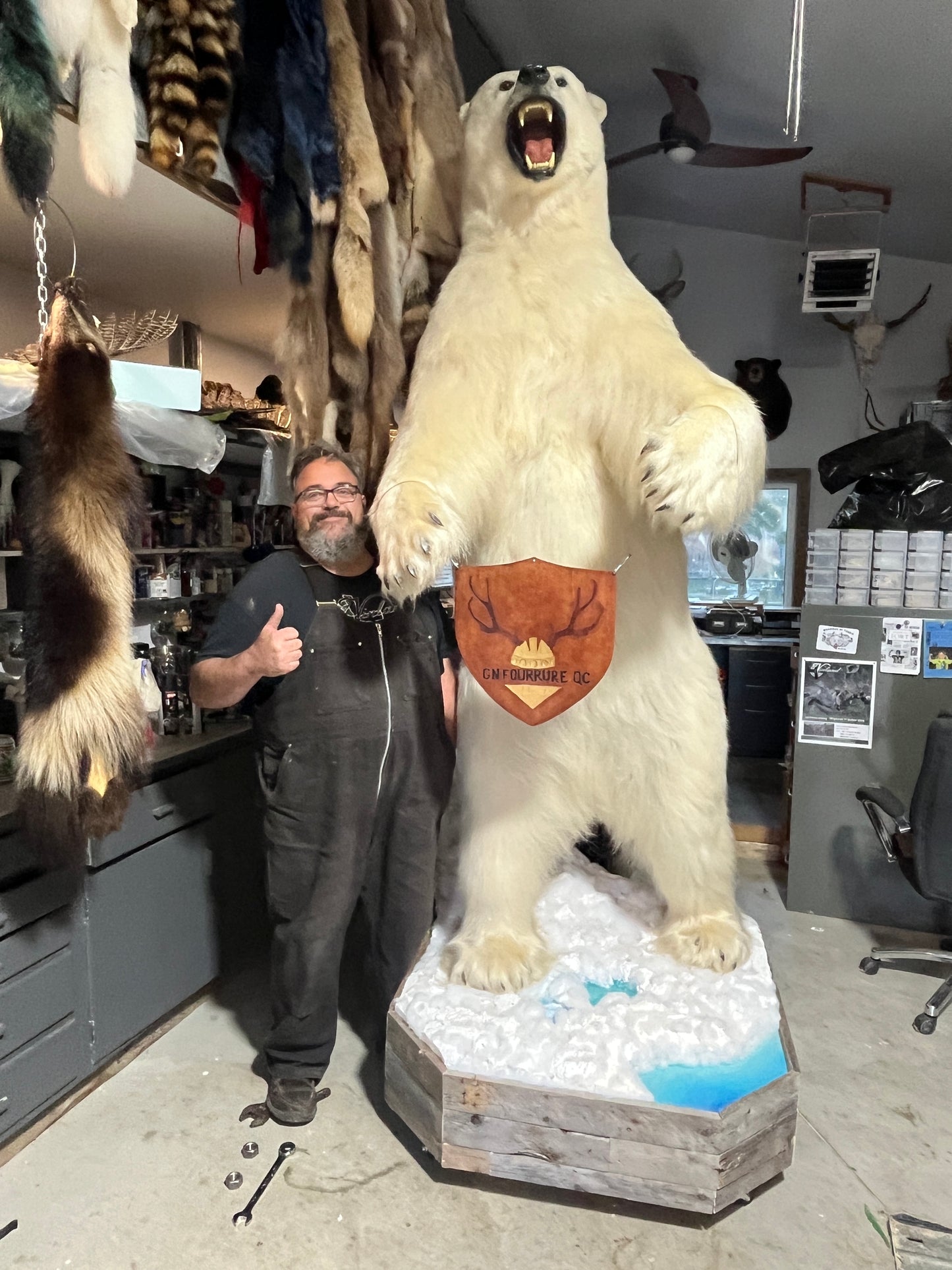 Polar bear fur - Full Taxidermy Mount