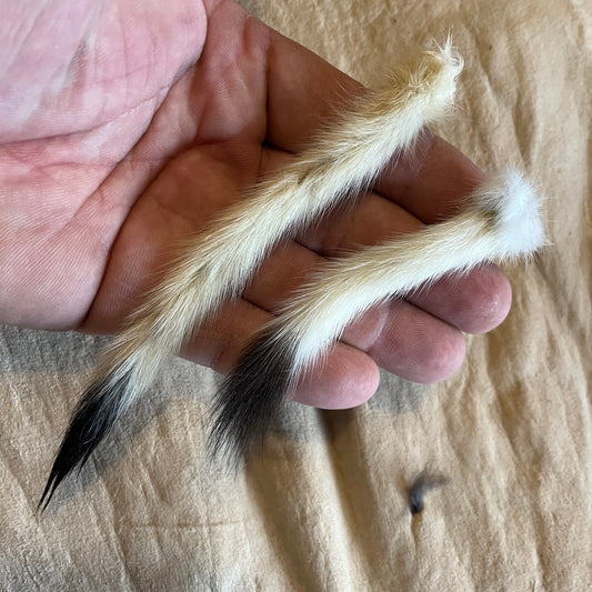 Stoat (Ermine) Tails - Tanned