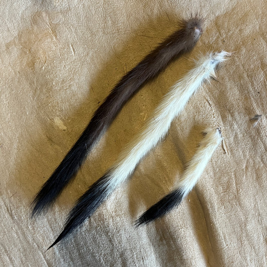 Stoat Fur Tails