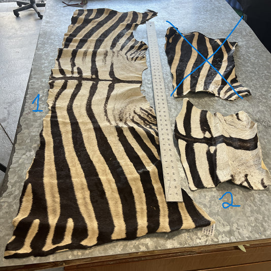 Zebra vintage partial pelts