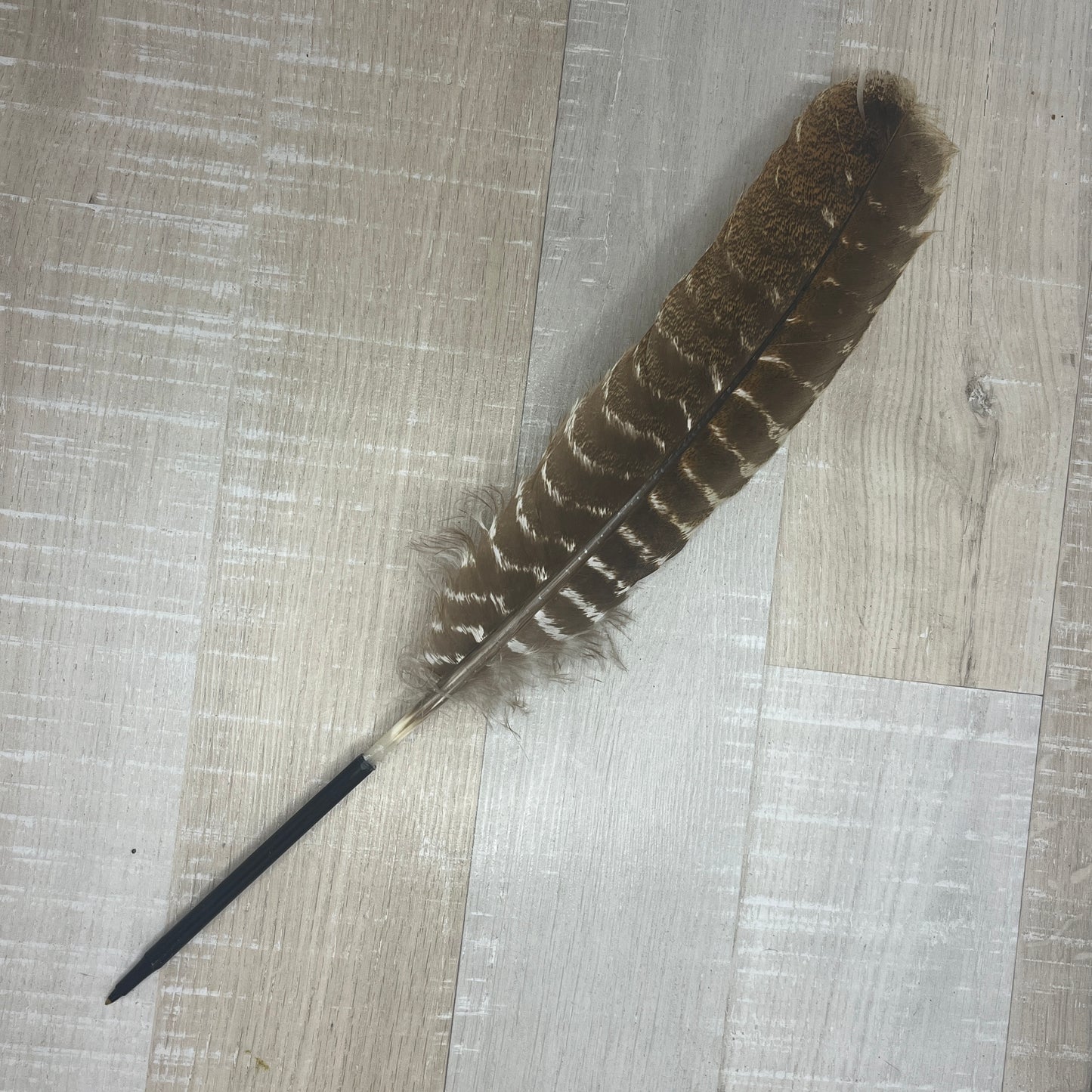 Turkey Feather Pens