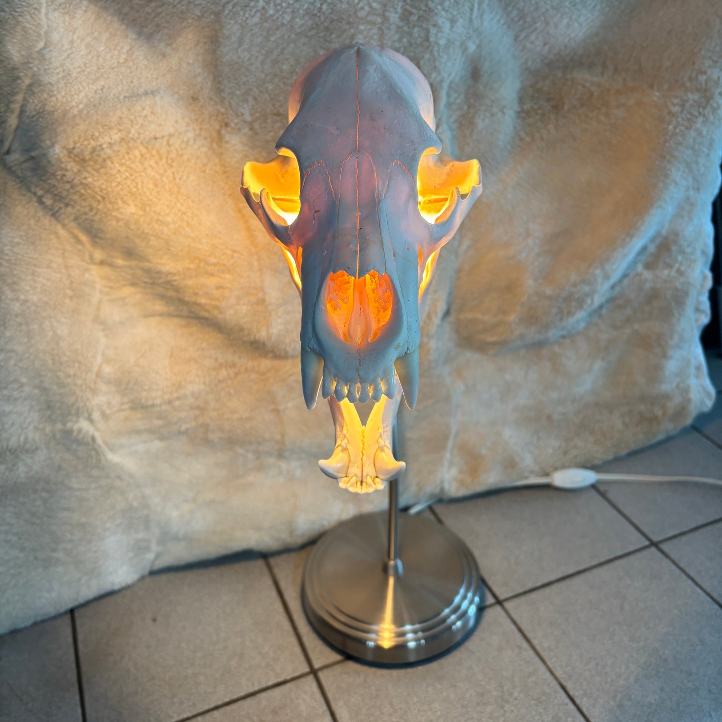 Lamp - Natural black bear skull