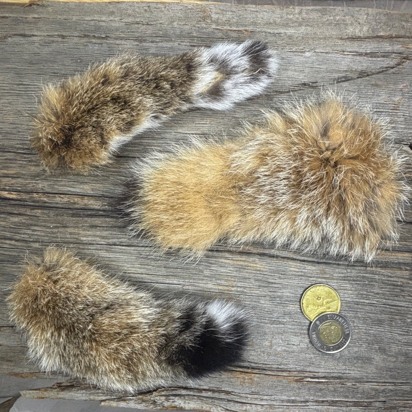 Lynx Tail Fur