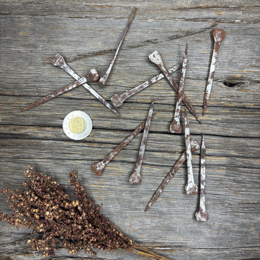 Horseshoe nails (Coffin nails)