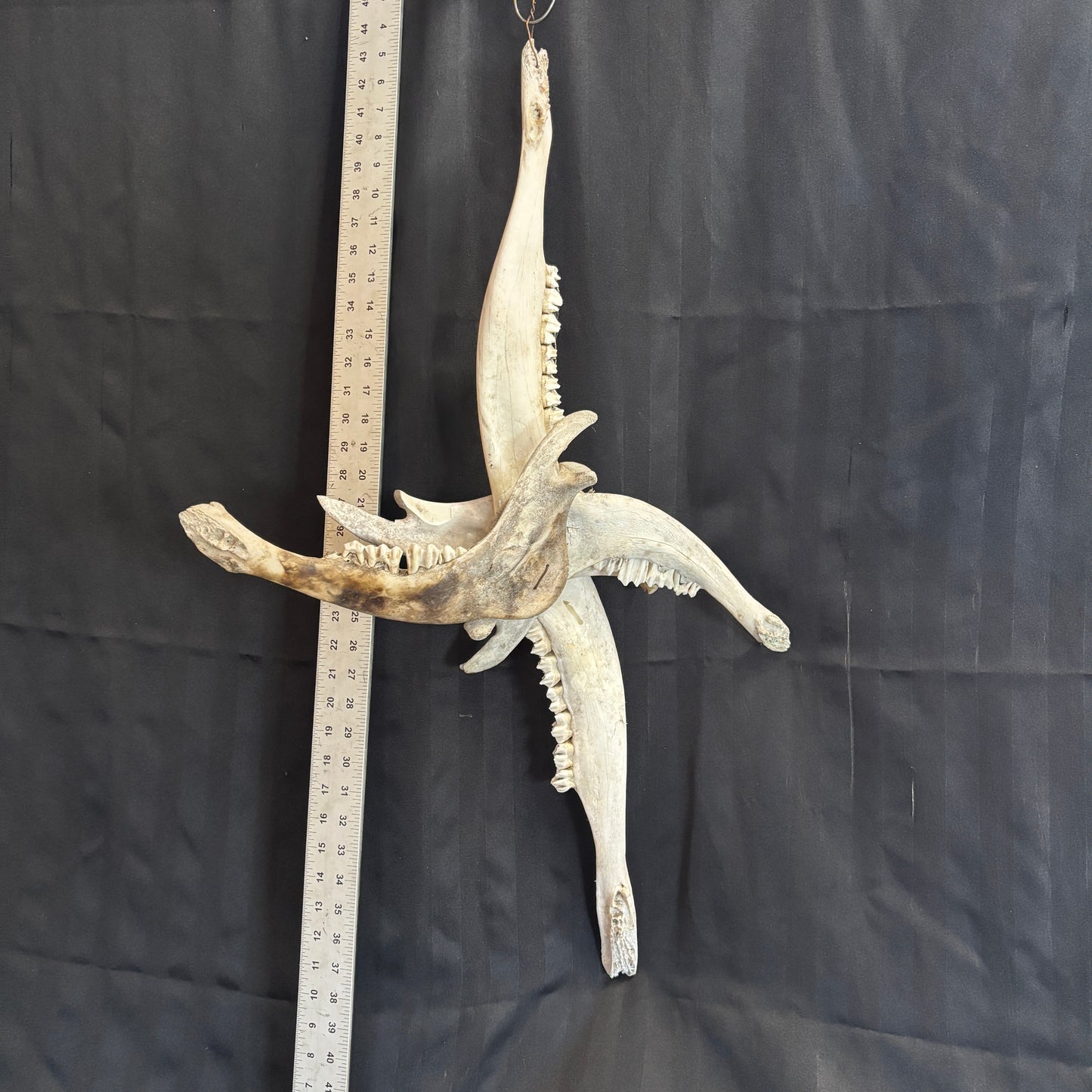 Lower Moose Jaw Bone Cross