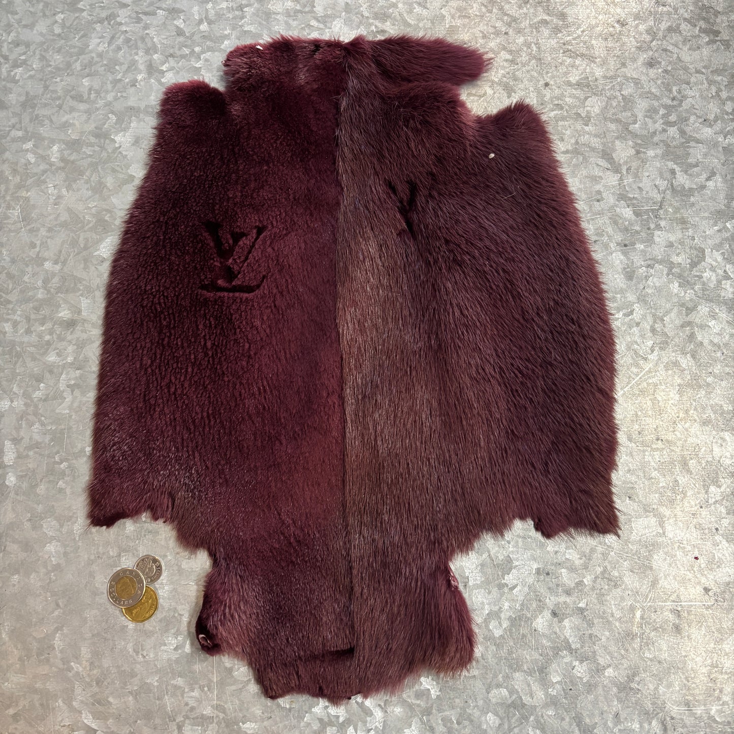 Colored and half-shaven beaver pelts