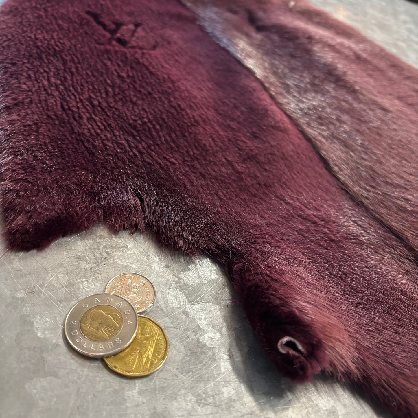Colored and half-shaven beaver pelts