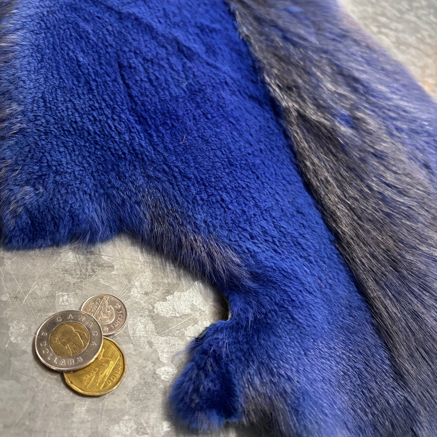 Colored and half-shaven beaver pelts