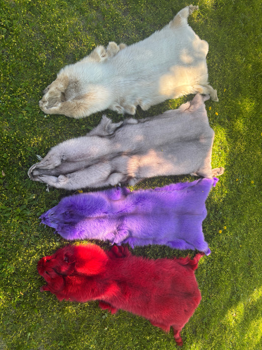 Finn Raccoon Colored Pelts