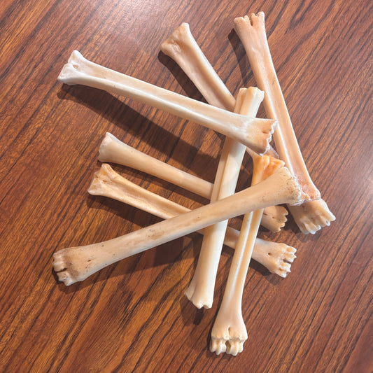 Metacarpal Deer Bone