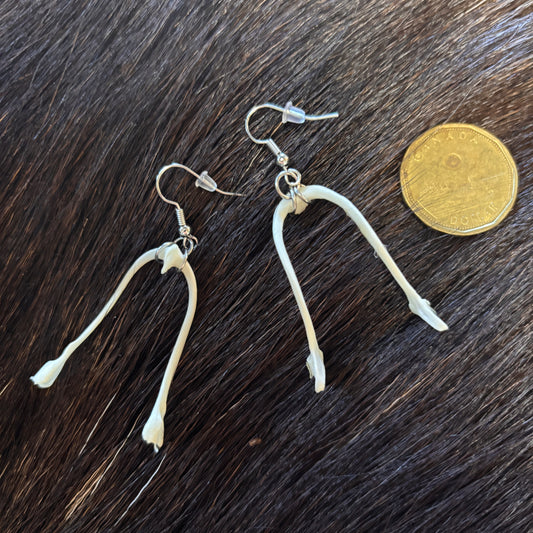 Earrings - Wishbones