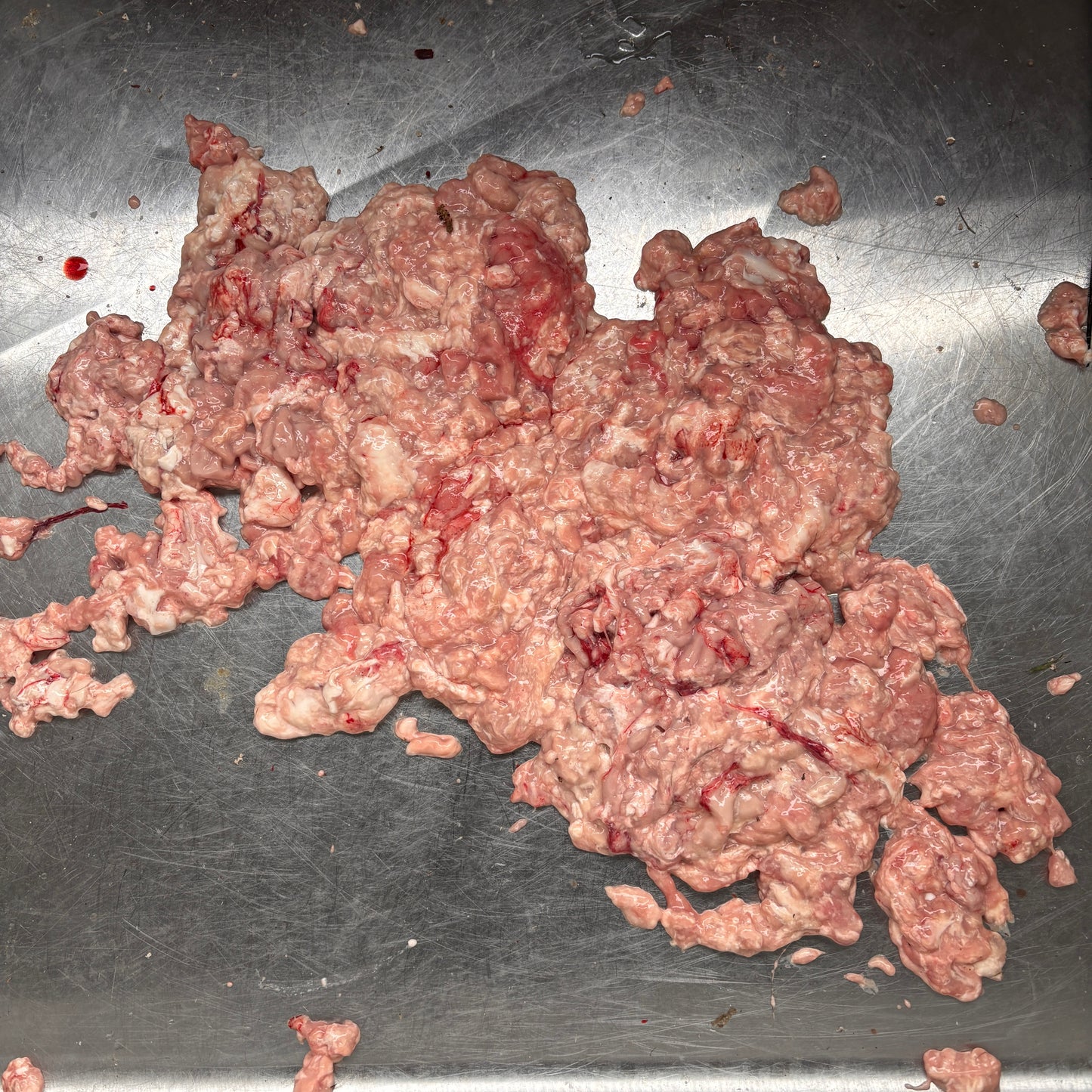 Deer brain matter - fresh