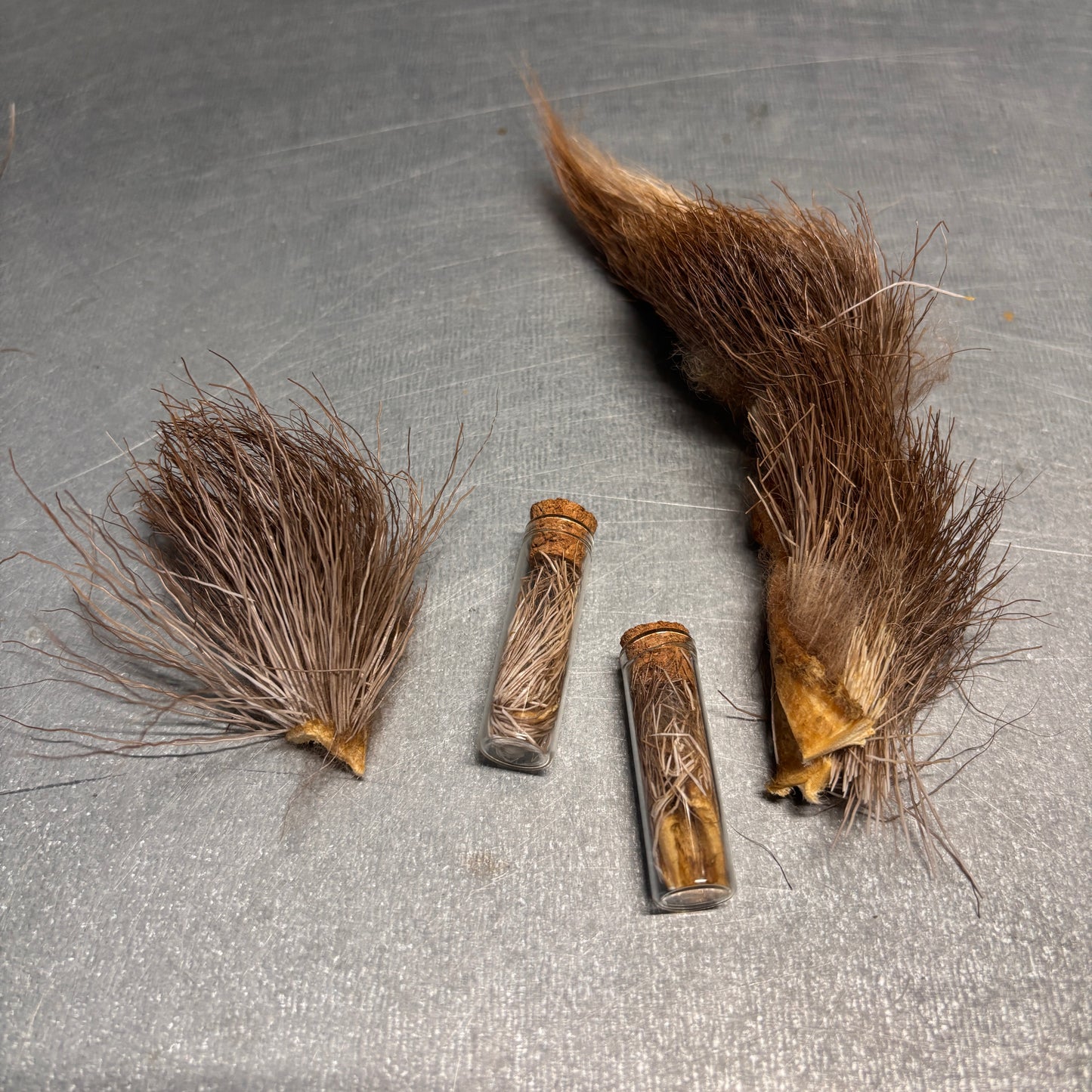 Moose fur vial