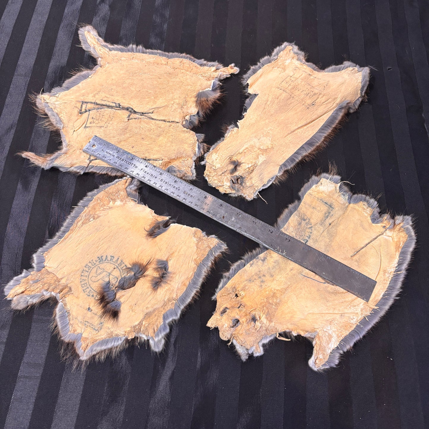 Muskrat Furs Partial Skins