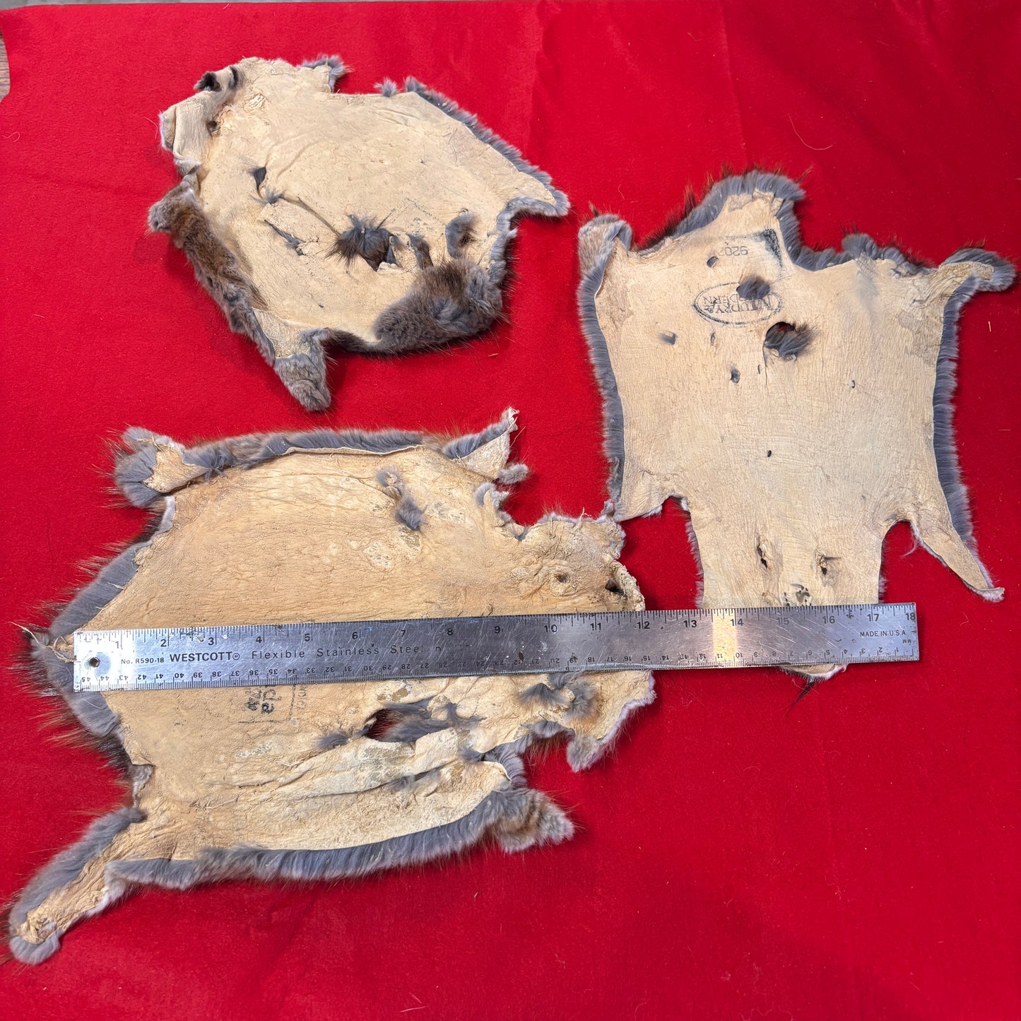 Muskrat Furs 2nd Quality