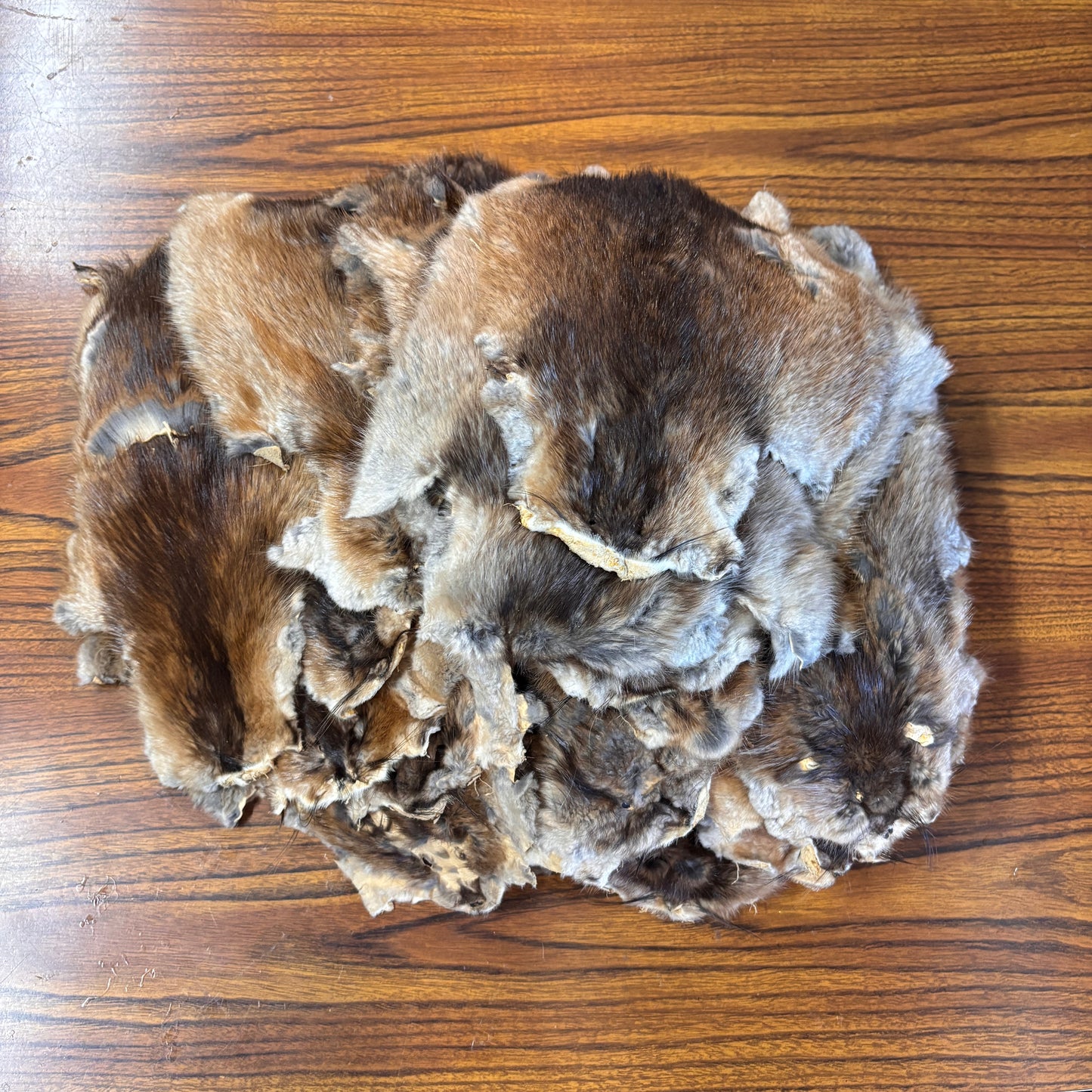 Muskrat Furs 3rd Quality