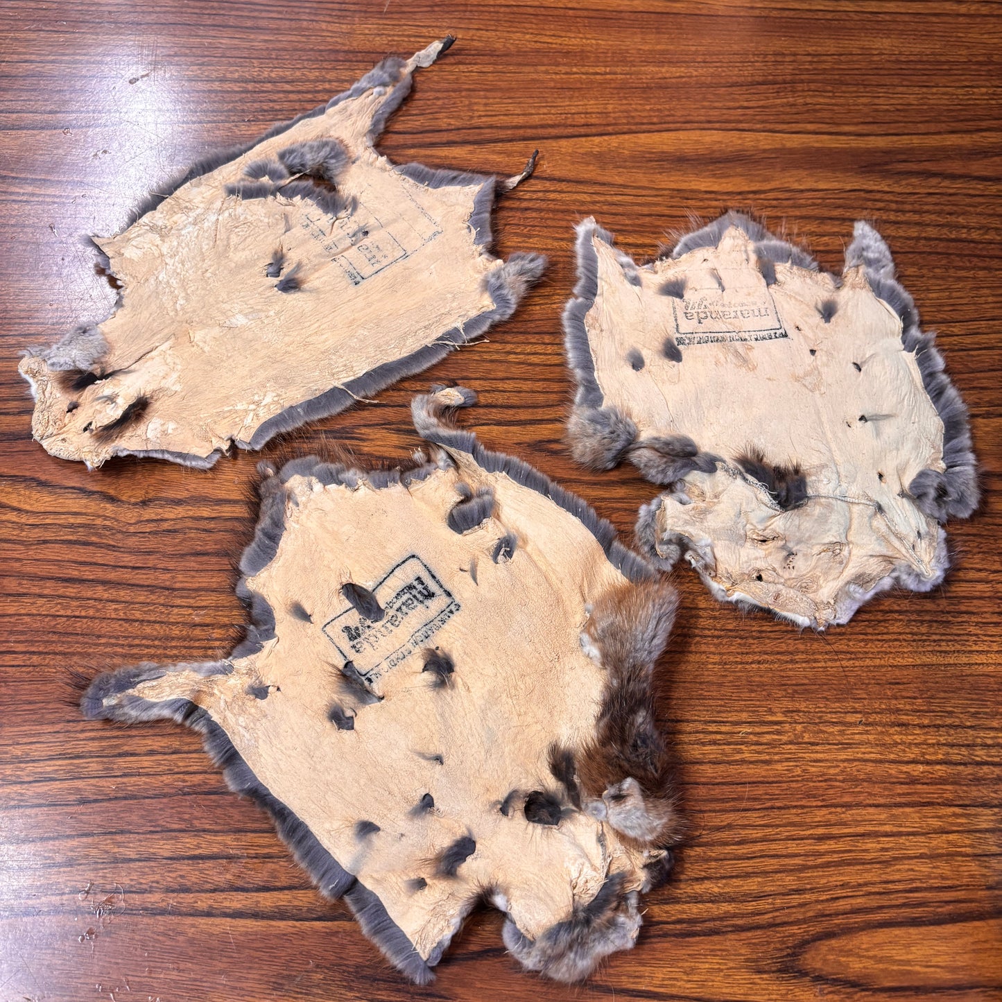 Muskrat Furs 3rd Quality